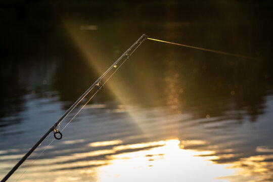 Slim rod tip stretches toward shining water as sunbeams scatter across gentle waves. A quiet shoreline session unfolds in warm light where the promise of a bite lingers in the air.