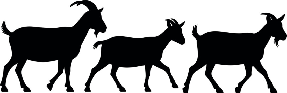 Goat Silhouettes Set Walking Farm Animals and Horned Billy Goat Vector Illustration Collection