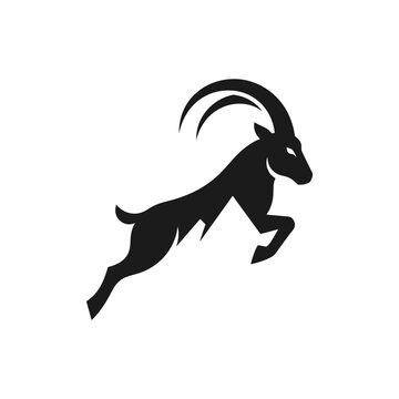 Black Silhouette of a Jumping Ibex with Large Curved Horns.