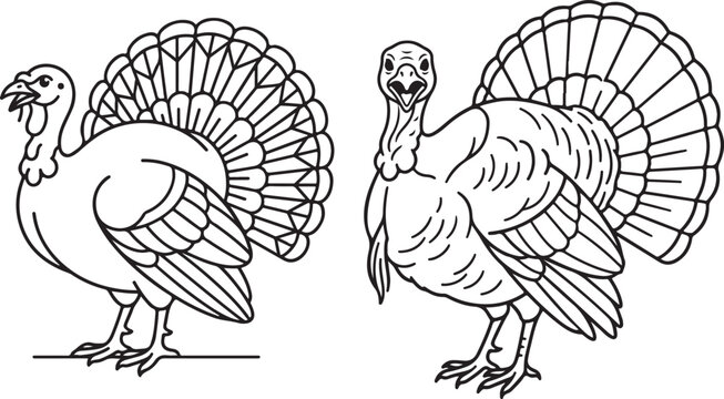 Thanksgiving turkey illustrations black and white line art for holiday decorations and festive designs