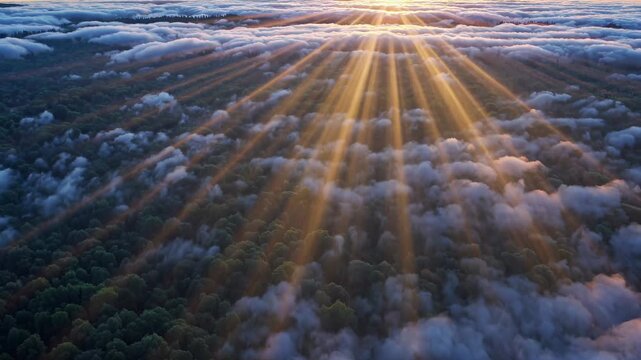 Sunlight beams radiate through clouds over a lush green forest, showcasing a breathtaking natural landscape at dawn with vibrant colors and atmospheric depth