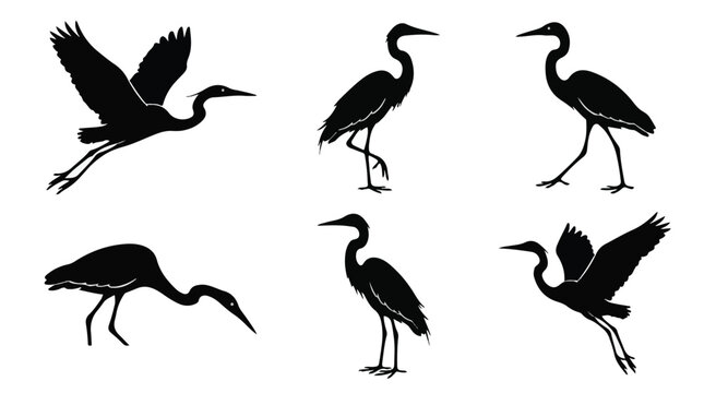 A set of six egret in various poses silhouette vector icon illustrations on a white background
