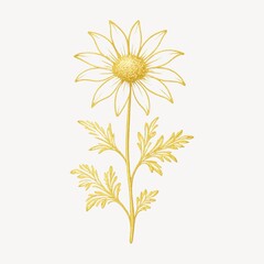 Obraz premium Elegant golden daisy line art.