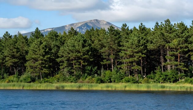 Serene mountain landscape with a dense pine forest bordering a calm blue lake