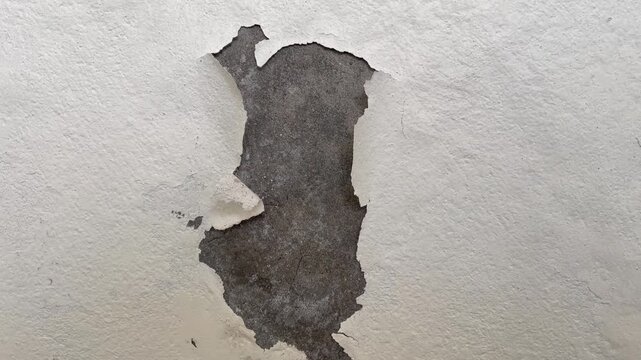Peeling Wall Plaster with Damaged Cement Surface and Cracked Texture
