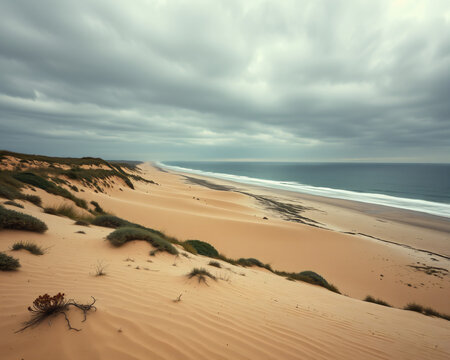 Dunes de sable sauvages et pr&eacute;serv&eacute;es avec des herbes dun&eacute;icoles sous un vaste ciel nuageux, paysage c&ocirc;tier aride et vierge balay&eacute; par le vent