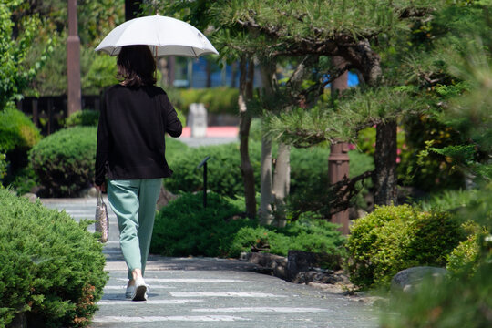 日傘をさして歩く女性の後ろ姿