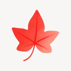 Obraz premium Vibrant red maple leaf illustration.