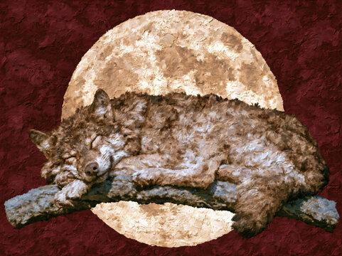 Sleeping Wolf on a Branch Beneath Full Moon.