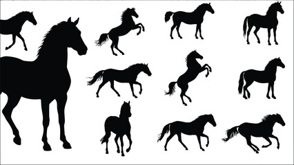 Fototapeta premium Black horse silhouette mega collection set with rearing standing trotting and galloping positions vector illustration