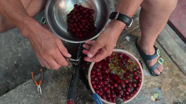 Top down view unrecognizable man hands extracting pits from fresh red cherries with metal tool into steel bowl shaky handheld documentary shot of authentic outdoor domestic winter food preparation