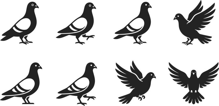 set of silhouettes of birds Black Pigeon Silhouette, Simple Bird Icon, Vector Graphic for Nature and Wildlife Themes Set of black silhouette of pigeons in various poses including standing, walking, 
 