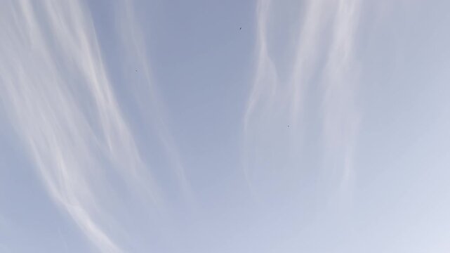 Horizontal close-up of wispy cirrus clouds and small birds flying across a clear blue summer sky. Ideal for weather, travel, nature, wellness and background videos.
