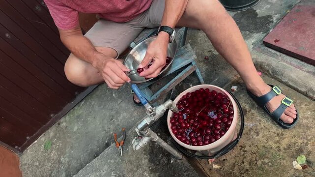Unrecognizable man pitting fresh red cherries with metal tool sitting by water tap on concrete pad high tilted dutch angle handheld authentic documentary lifestyle shot of domestic winter food prep