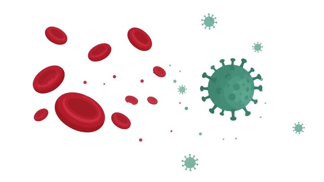 Vector Illustration of Blood Cells and Virus Particles
