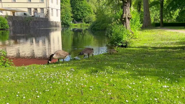 Schloss Str&uuml;nkede medieval water castle in Herne, Germany on a sunny summer day