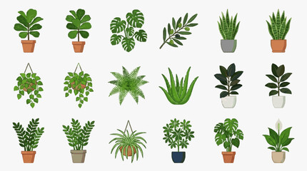 Professional Collection of 18 Colorful Potted Houseplants and Hanging Plants for Interior Design Inspiration © Ahmad