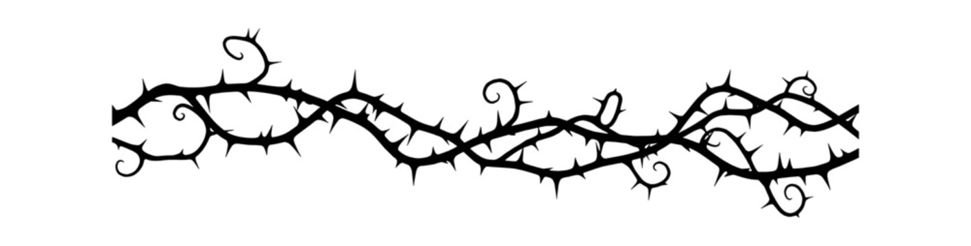 Black thorny vine border element with sharp prickles for decorative design isolated on transparent background, Vector