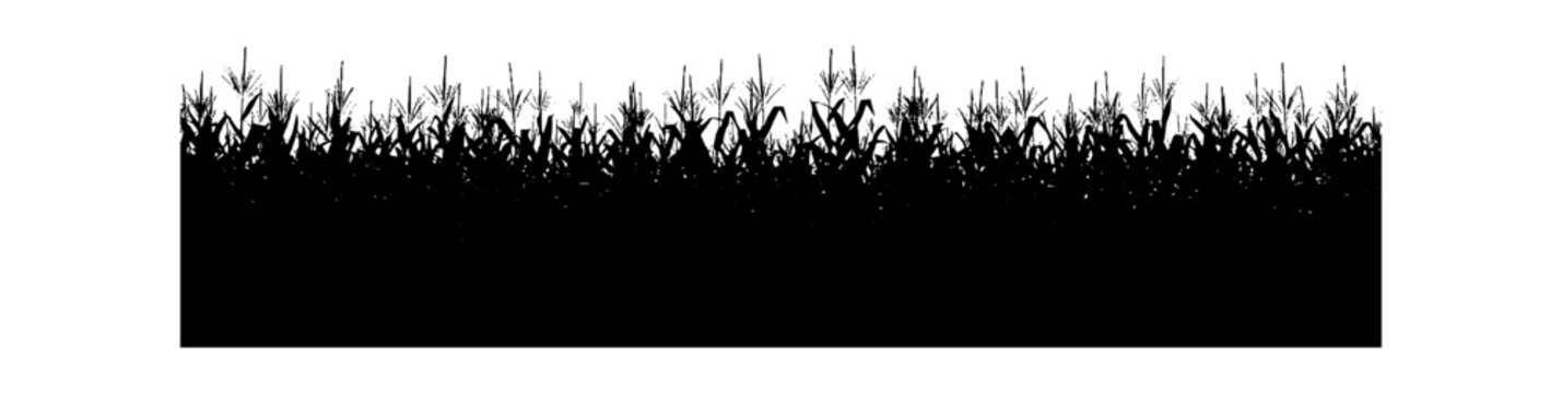 Black silhouette of a corn field farm crop border isolated on transparent background, Vector