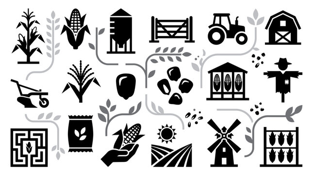 Diverse set of black corn agriculture icons including tractor barn silo and harvest tools on white background, illustrating modern farming equipment, representing organic crop production