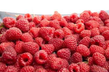 Fresh raspberries piled in a black container, showcasing their vibrant red color and fine details, with a white background enhancing their visual appeal and freshness © mikeosphoto