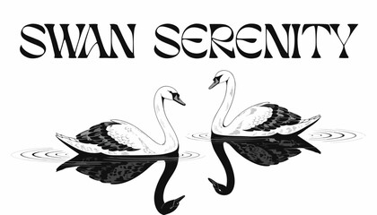 Very beautiful black and white realistic vector illustration of TWO SWANS ON A REFLECTIVE LAKE featuring a bold wildlife label reading "SWAN SERENITY", two graceful swans gliding across still water  © williamnoah
