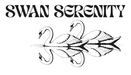Very beautiful black and white realistic vector illustration of TWO SWANS ON A REFLECTIVE LAKE featuring a bold wildlife label reading "SWAN SERENITY", two graceful swans gliding across still water  © williamnoah
