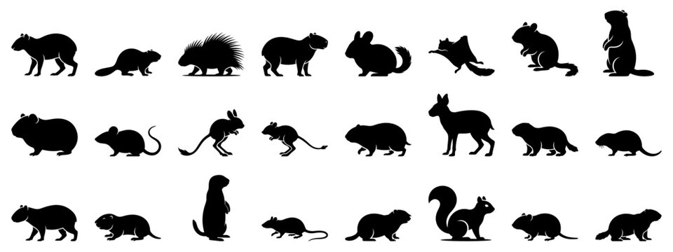 Rodent animal solid glyph icon collection. Vector illustration.