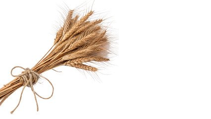 Small sheaf bundle of dried golden straw harvest element isolated on transparent background © golos-png
