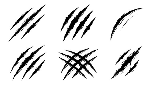 Set of wild animal claw scratch marks on white background.