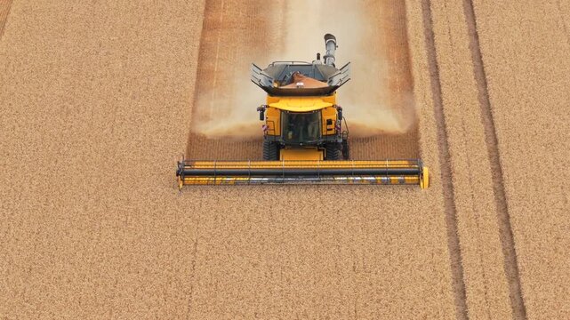 Aerial of a combine harvester in a grain fiel