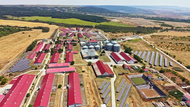 A wide view of a pig farm showing several buildings, fields, and silos. Workers can be seen tending to animals and maintaining equipment in an outdoor setting.