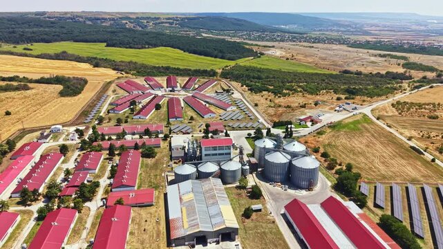 The pig farm shows buildings arranged in a circle with a central area. Fields of crops and a few silos are visible. The scene captures the activity of farming and animal husbandry.