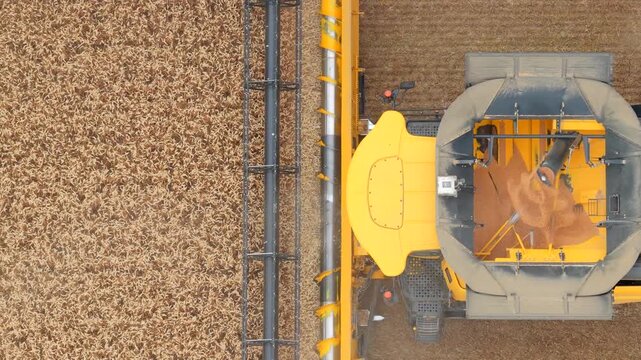 Top-Down Aerial, Combine harvester in a grain fiel
