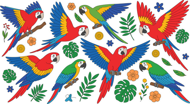 Macaw parrot vector illustration set featuring colorful cartoon exotic birds flying and perched on branches with tropical leaves and flowers.