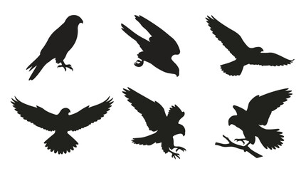 Fototapeta premium A set of six falcon birds in various poses silhouette vector icon illustrations on a white background 
