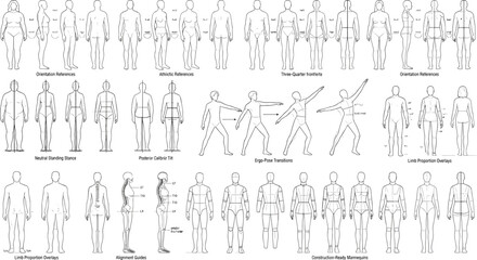Obraz premium Comprehensive anatomical human figure reference sheet with proportional guides, poses, and alignment drawings for artistic study projects