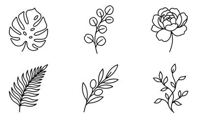 Minimalist botanical line art collection, set of 6 floral vector icons, elegant monstera and eucalyptus leaf illustrations for wedding stationery © Muhammad Sajjad