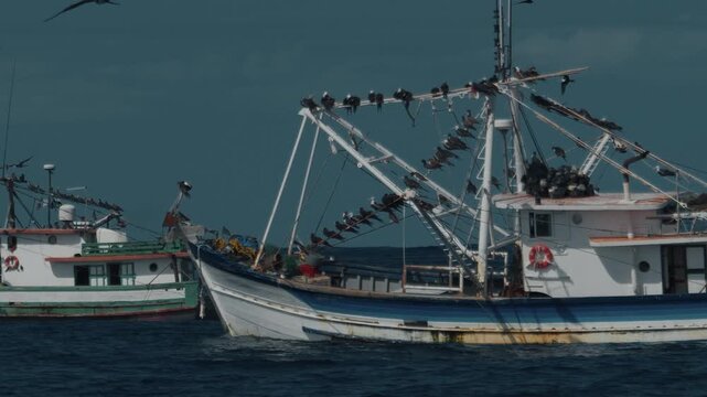 Fishing boat moves in the Atlantic Ocean near the Brazilian shore