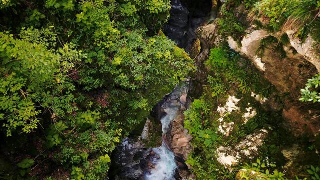 Water cascades flowing over mossy river stones in Cellina gorge, Sentiero del Dint, Northern Italy.