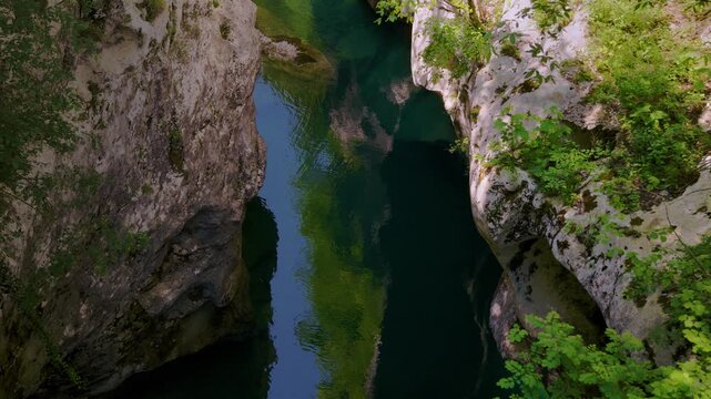 Green plants on rocky canyon cliffs of Cellina gorge, Sentiero del Dint, Italy. Mountain river