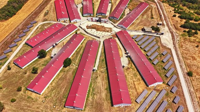 View of a pig farm with multiple barns arranged in a circular pattern. Solar panels are placed on the ground. The farm is surrounded by open land in bright daylight.