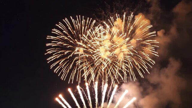 Golden firework explosion in dark night sky