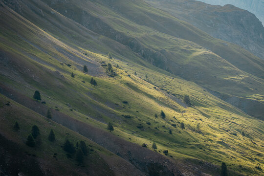 Atmospheric mountain slope near Livigno, Italy, with rugged alpine ridges, grassy valleys, and soft natural light.
