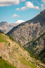Fototapeta premium Panoramic mountain view near Livigno, Italy, with alpine larch trees, rocky cliffs, and picturesque summer scenery.