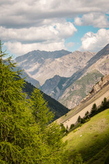 Fototapeta premium Scenic hiking destination in the Italian Alps, featuring rugged peaks, alpine vegetation, and crystal-clear summer weather.