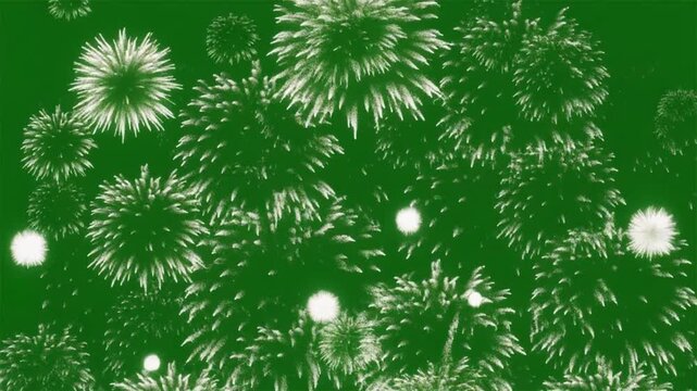 Spectacular white fireworks explosion bursting animation on green screen chroma key