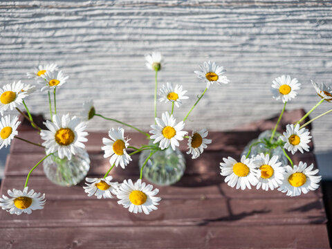 lovely daises in tiny glass vases
