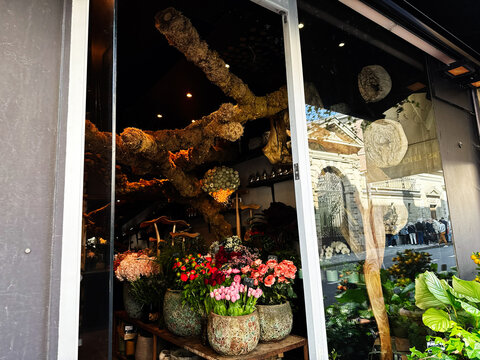 Flower shop window display with tulips and roses in Paris, France reflecting street life