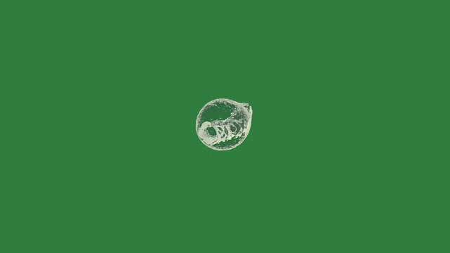 Professional Earth Professional with Splash Green Screen Element
